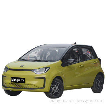 2022 Mini SUV NEW cheap made in China electric vehicle sales new energy adult electric vehicle